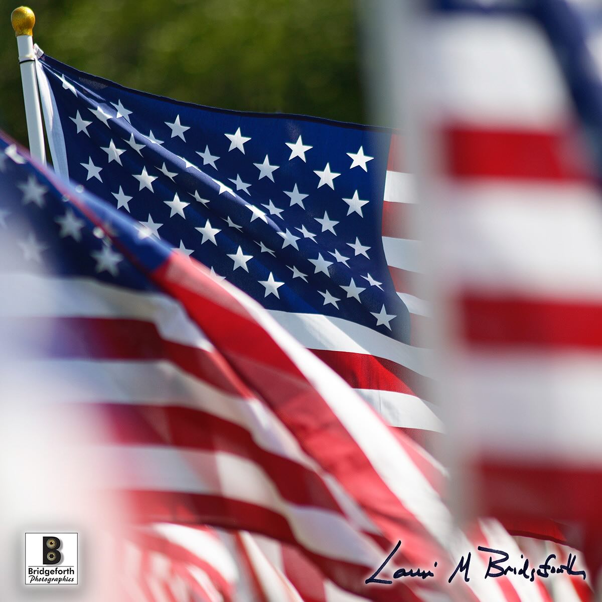 Team USA. We are the UNITED States of America, not the Divided States of America. All of us have either celebrated or cried over the election results this week. And we’ve done so in public no less. We should think more often about what a privilege it is to speak out publicly, and thank a veteran that we have the freedom to do so. ❤️🇺🇸💙
#whatlaurisees #veteransday #bridgeforthphoto #americanflag #thankaveteran #photographerwinchesterva #armedforces #shenandoahvalley #commercialphotography #flagged #teamusa #photostudiowinchesterva #visitwinchester #visitvirginia #oldtownwinchester #winchesterva