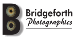 Bridgeforth Photographics | Professional Photography in Winchester, VA